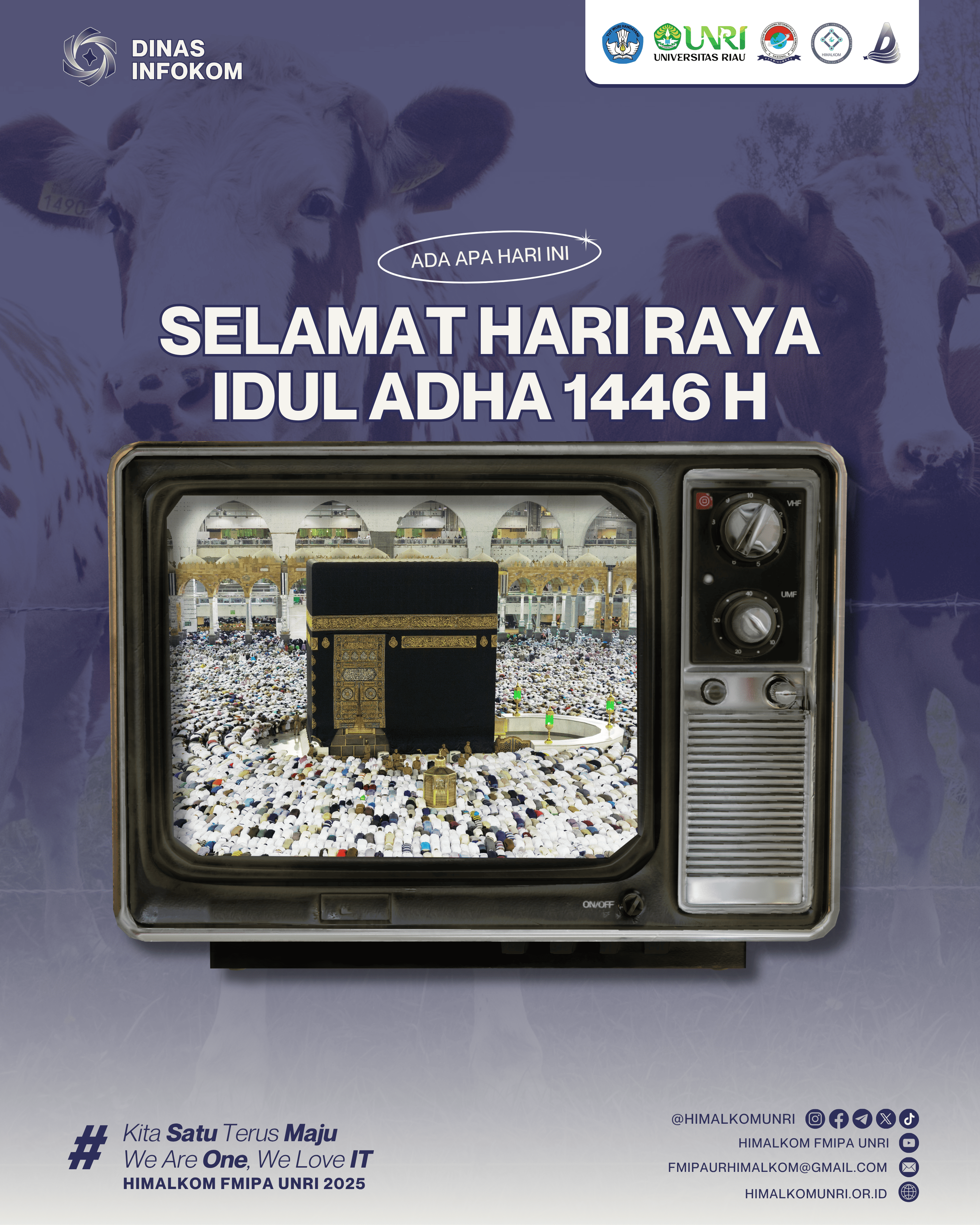 media-card